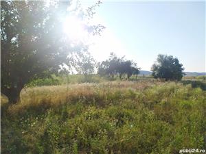 Teren intravilan de vânzare - imagine 4