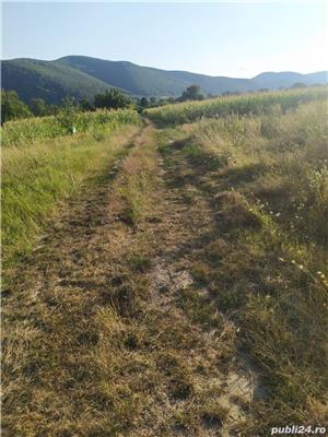 Teren intravilan de vânzare - imagine 6