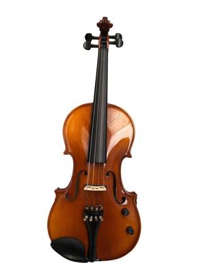 Vioara electro-acustica Vol.+Ton NATUR 4/4 Hora Reghin