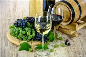 Vand struguri / must / vin, sortiment traminer si otonel