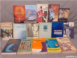 Radu Tudoran romane (16 vol)