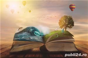 Meditatii limba romana