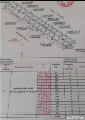 De vânzare teren Frumușani județul Călărași - imagine 7