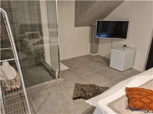 Apartament de lux in regim hotelier la vila, Georgiana Apartments - imagine 6