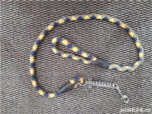 Lesa caini - imagine 2