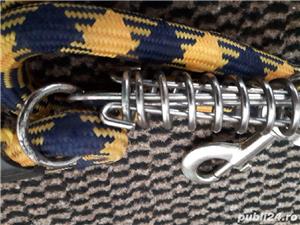 Lesa caini - imagine 3