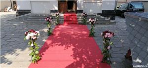 Arcada, Covor Rosu, Stalpi Alexandria, Teleorman