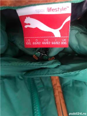 Geci Puma - imagine 2