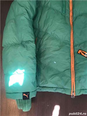 Geci Puma - imagine 6