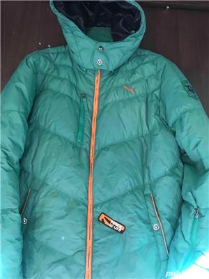 Geci Puma - imagine 7