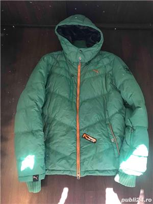 Geci Puma - imagine 3