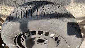 Vand roti de iarna - imagine 5