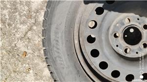 Vand roti de iarna - imagine 7