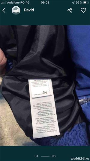 Geci Puma - imagine 8