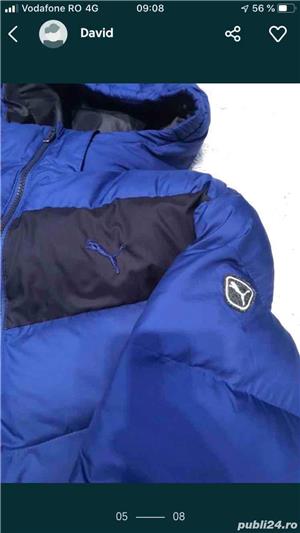 Geci Puma - imagine 4