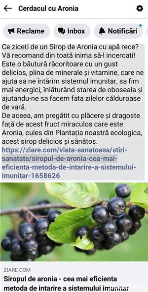 Produse din fructe Aronia Bio: Tinctura, Otet, Dulceata, Sirop, Concentrat - imagine 3