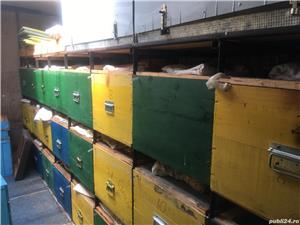 Camion Mercedes-benz   amenajat apicol - imagine 3