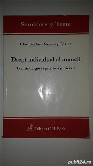 Vol. Drept individual al muncii  de Claudia-Ana Moarcas Costea