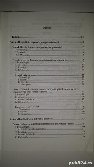 Vol. Drept individual al muncii  de Claudia-Ana Moarcas Costea - imagine 2
