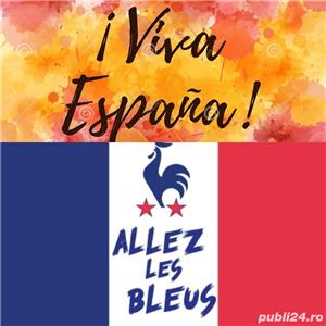 Meditatii spaniola/ franceza