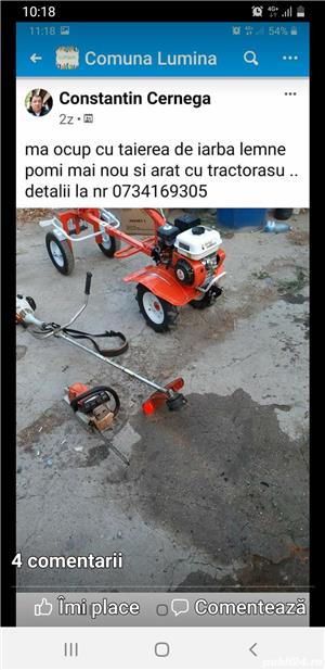 Tai iarba lemne pomi araturi în grădini 