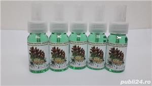 Odorizant casa, birou si masina, aroma PIN