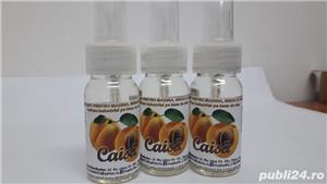 Odorizant casa, birou si masina, aroma CAISA