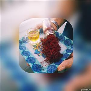 Sofran în pistile Crocus Sativus crescut in BUCOVINA - Categoria I - imagine 3