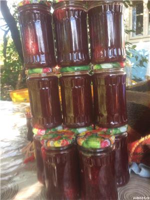 Vând dulcețuri și gemuri BIO. - imagine 2