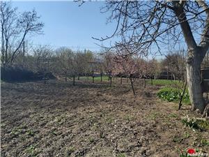 Vând casă și curte - imagine 2