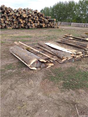 Laturoaie FRASIN la lungime de 2M,legatura de 1 mst-389 Ron