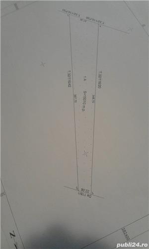 Magurele tarla 32  langa livada str Basmului - imagine 2