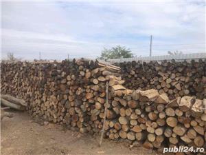 Lemn de foc fag uscat (metri steri)