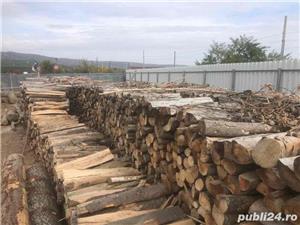 Lemn de foc fag uscat (metri steri) - imagine 2