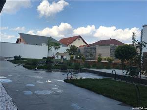 25ani experienta -Servicii peisagistice - imagine 9