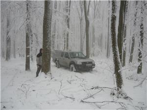 tehnician silvic - imagine 3