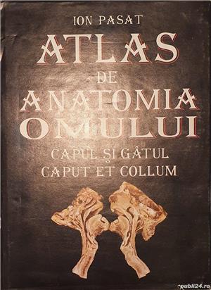 Ion Pasat - Atlas de anatomia omului - Capul și gâtul