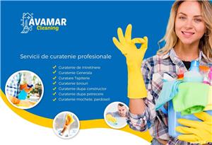 Servici profesionale de curatenie!  - imagine 2