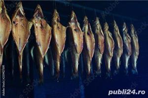 Afumatoarea Tătar ! Afumam carne si brânză ! - imagine 3