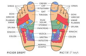 Masaj terapeutic sau de relaxare - imagine 6