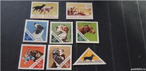 timbre Romania-Caini,pisici,cai,8 poze,nestampilate,MNH - imagine 2