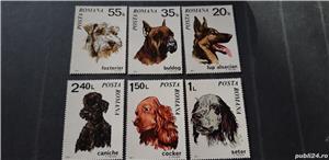 timbre Romania-Caini,pisici,cai,8 poze,nestampilate,MNH - imagine 3