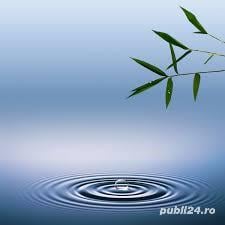 Servicii de Psihoterapie