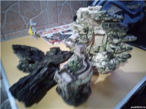 Acvariu pești - imagine 4