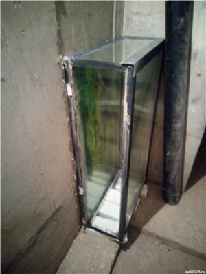 Acvariu pești - imagine 9