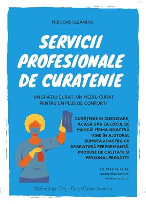 Curatenie profesionala Drobeta Turnu Severin !