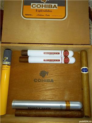 Cutie trabucuri Cohiba Esplendidos