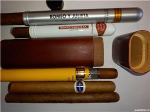 Etui lemn trabucuri Cohiba Siglo V Romeo Y Julieta No.2 Churchill