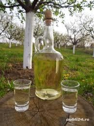 Țuică și palinca 