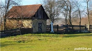 Vand casa cu anexe si teren 3008 mp, in centrul loc. Risculita, com. Baia de Cris, jud. Hunedoara - imagine 8